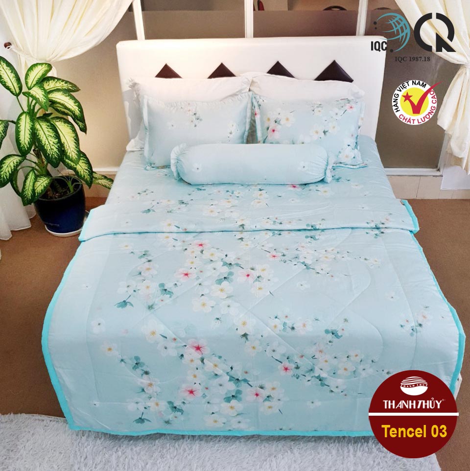 changagoidep3 8437 1