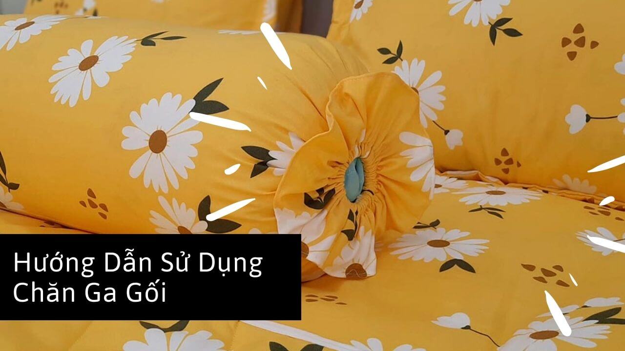 huongsansudungchangagoi 3689 1