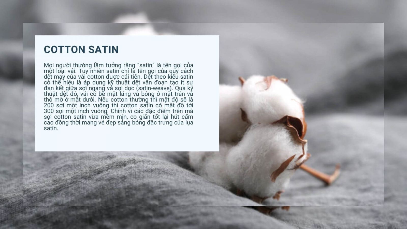 phan-biet-cai-loại-ga-giuong-vai-cotton