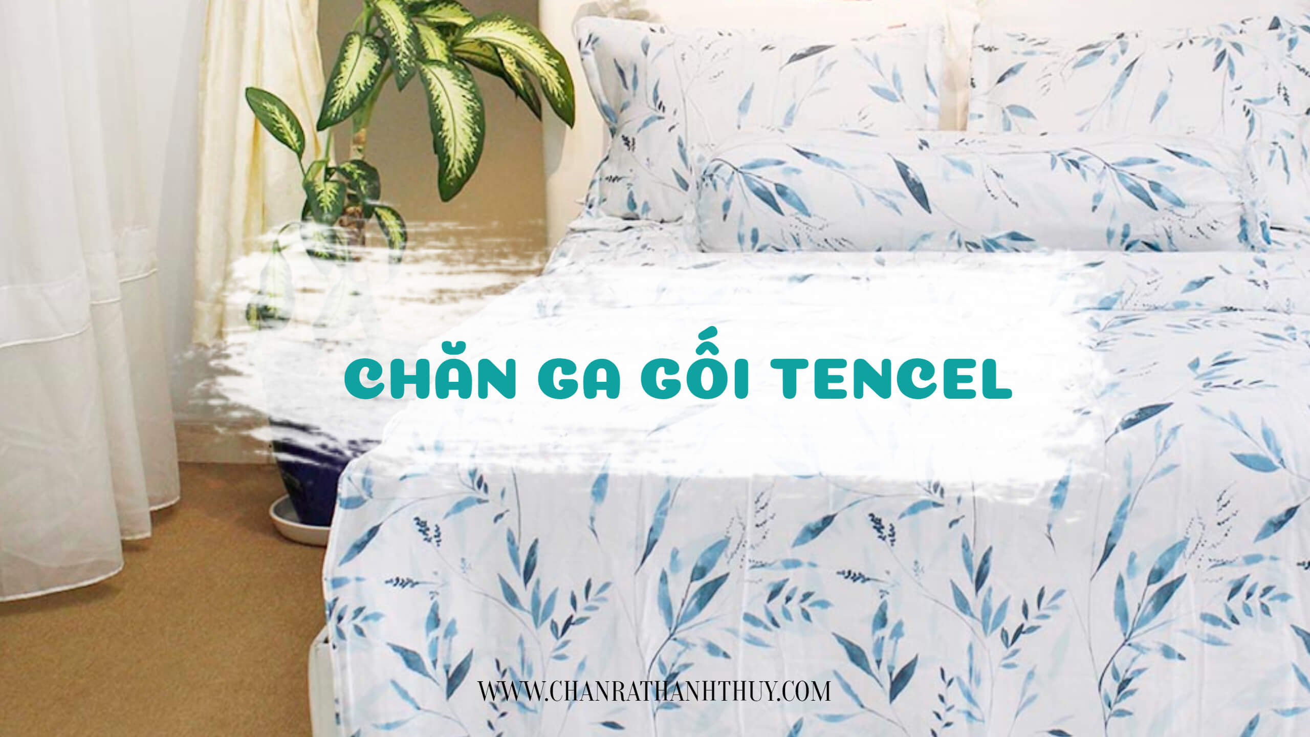 tencel 1 8831 1