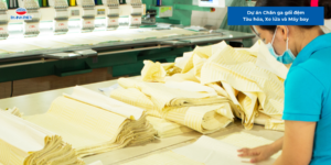 Dự án Chăn ga gối đệm Tàu hỏa, Xe lửa và Máy bay