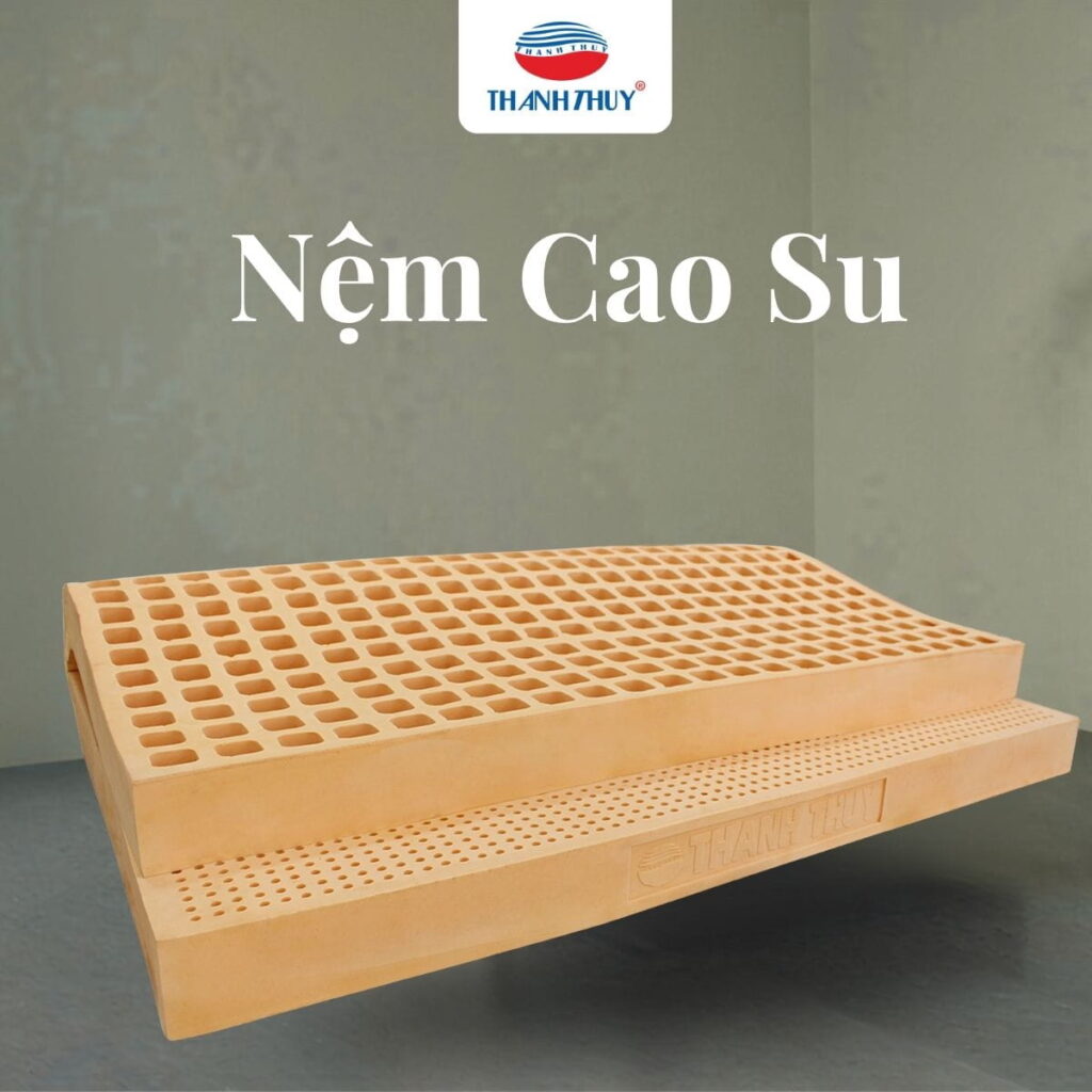 Review Chi Tiết Các Loại Nệm: Nệm Lò Xo, Nệm Bông Ép, Nệm Cao Su 7 Nệm cao su - Sự cân bằng giữa độ êm ái và khả năng nâng đỡ cơ thể