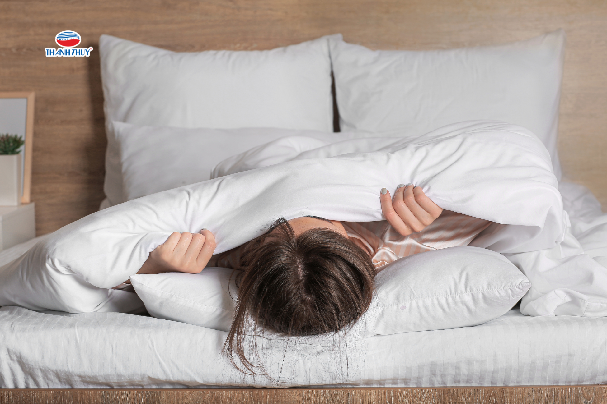 Chăn mền ôm trọn khách hàng trong sự êm ái và ấm áp